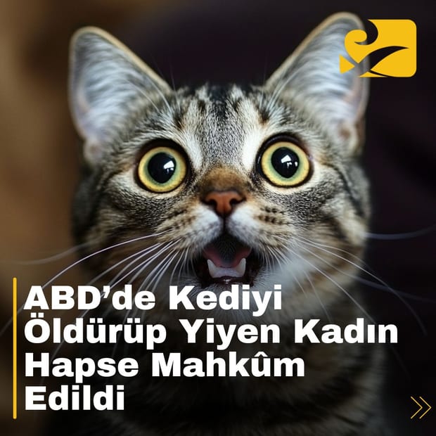 Ohio’da yaşanan olayın ardından hayvan hakları savunucularının tepkileri büyüyor.