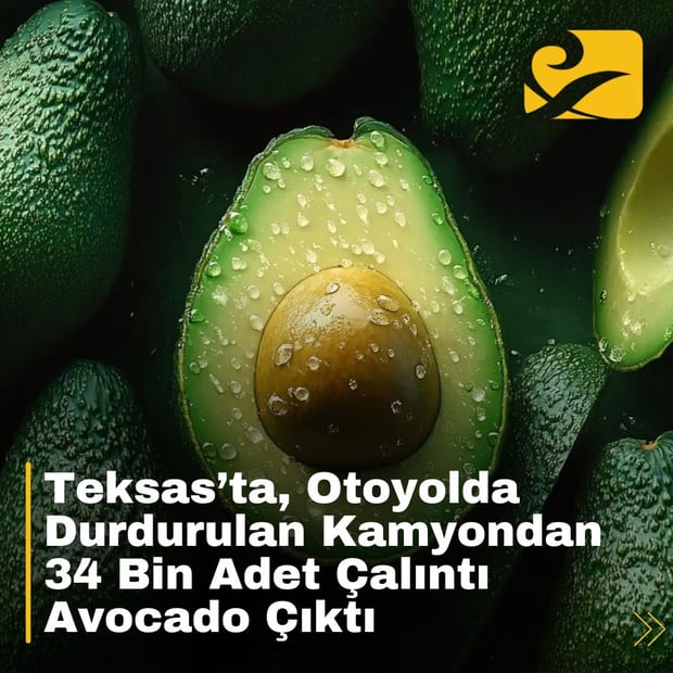 Teksas'ta otoyolda durdurulan bir kamyondan ele geçirilen 34 bin çalıntı avokado, mağdur şirkete teslim edilmek üzere koruma altına alındı.