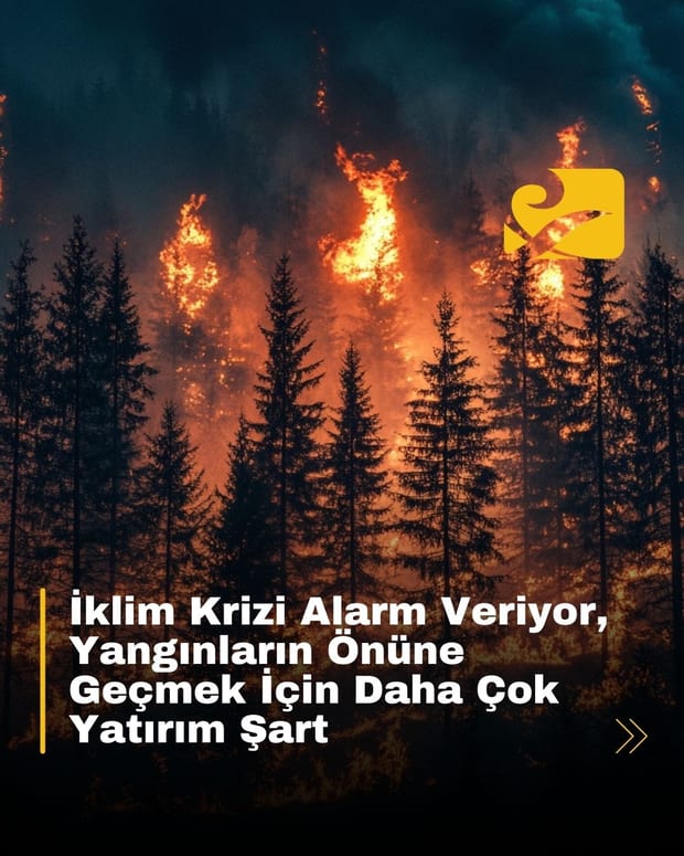 Los Angeles’taki orman yangınları, iklim değişikliğinin yıkıcı etkilerini ortaya koyuyor. Uzmanlar, önlemler ve yatırımların artırılmasını öneriyor