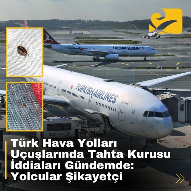 Türk Hava Yolları uçuşlarında tahta kurusu iddiaları, yolcuların şikayetlerine neden oldu.
