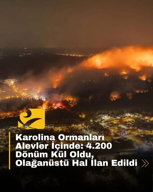 Güney ve Kuzey Karolina’da çıkan orman yangınları 4.200 dönüm alanı kül etti