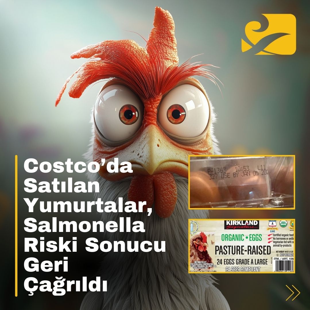 Costco mağazalarında satılan Kirkland Signature yumurtaları, salmonella riski nedeniyle geri çağrıldı.