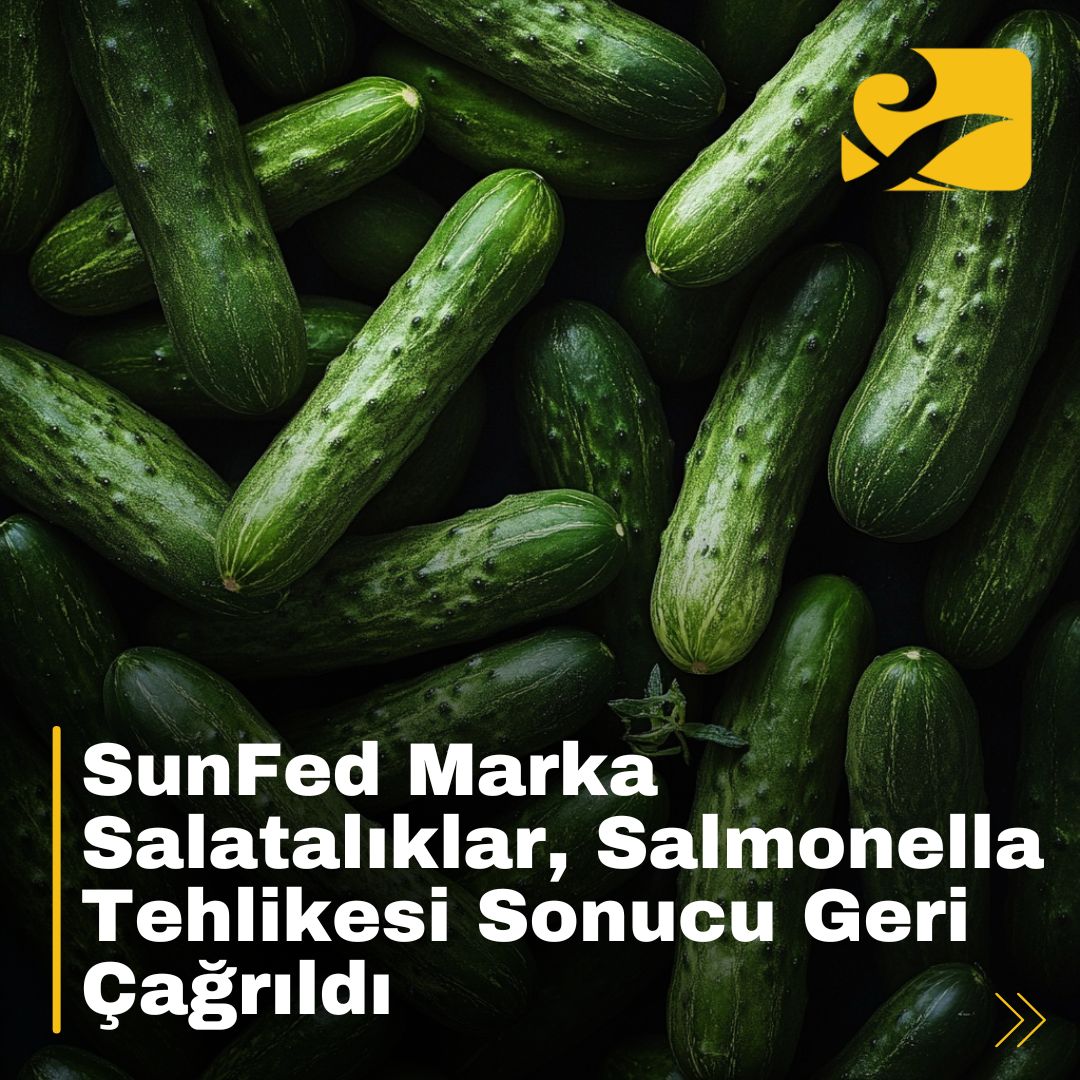 Salmonella salgını nedeniyle geri çağrılan SunFed marka salatalıklar.