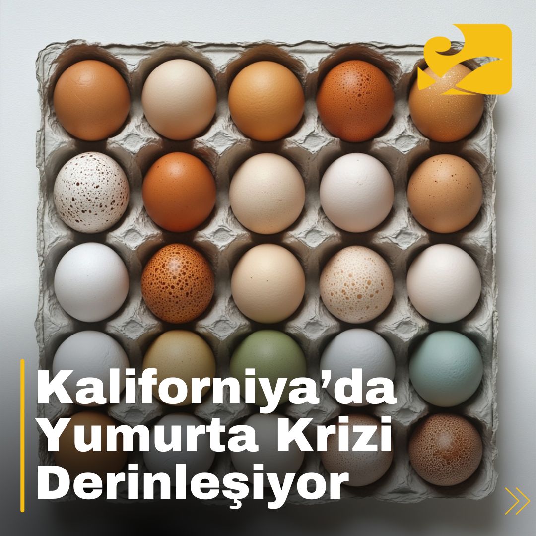 Kaliforniya’da kuş gribi salgını nedeniyle market rafları boş kaldı, yumurta fiyatları rekor seviyelere ulaştı.