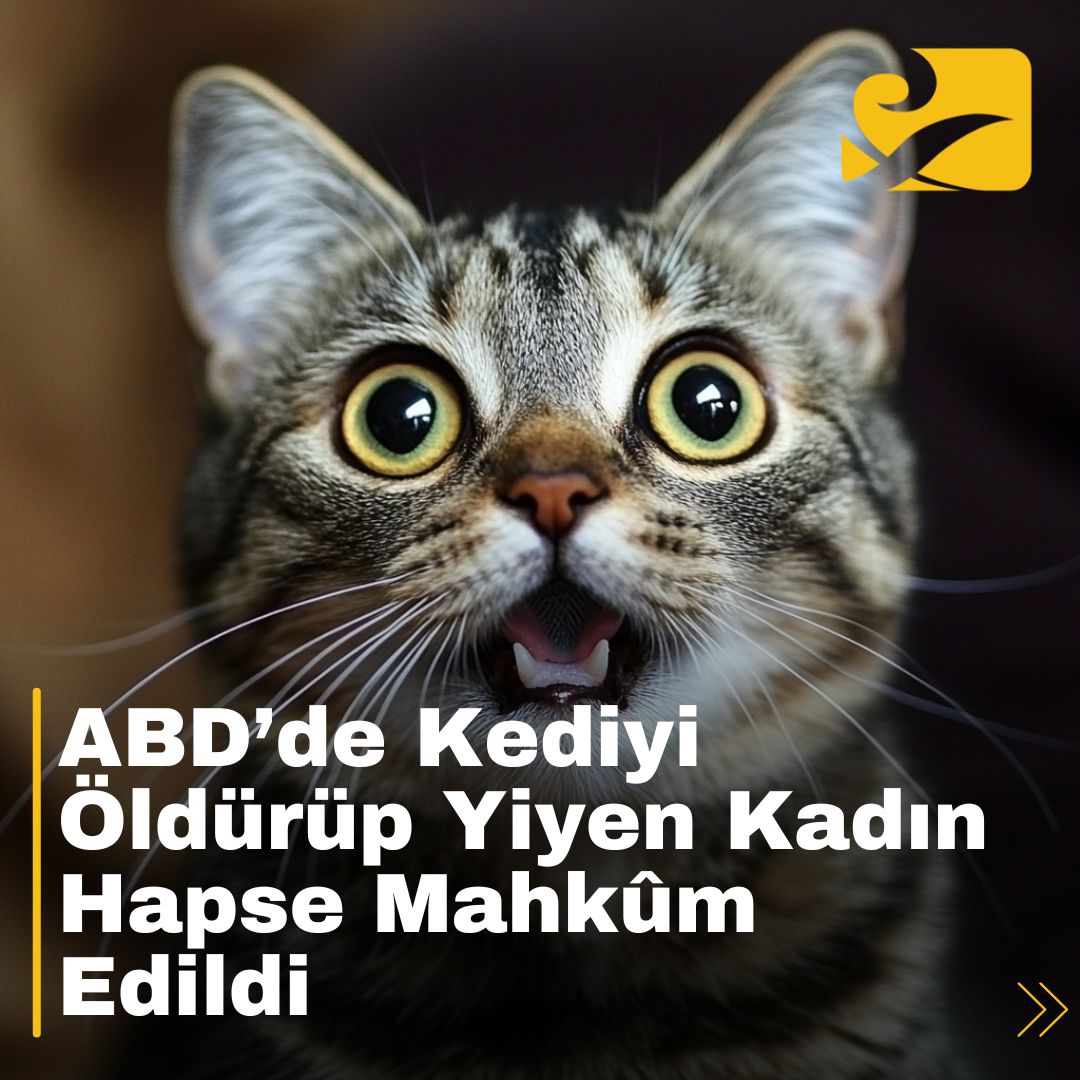 Ohio’da yaşanan olayın ardından hayvan hakları savunucularının tepkileri büyüyor.