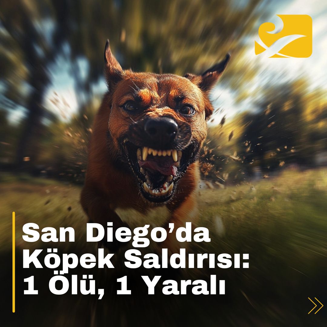 San Diego’da köpek saldırısı sonucu bir kişi hayatını kaybetti, bir kişi ağır yaralandı.