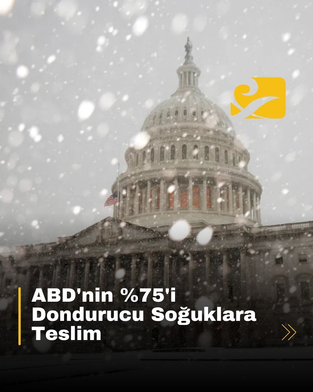 ABD, Kanada’dan gelen Arktik soğuklarla mücadele ediyor. 70 milyon kişi kar ve buz uyarılarıyla karşı karşıya