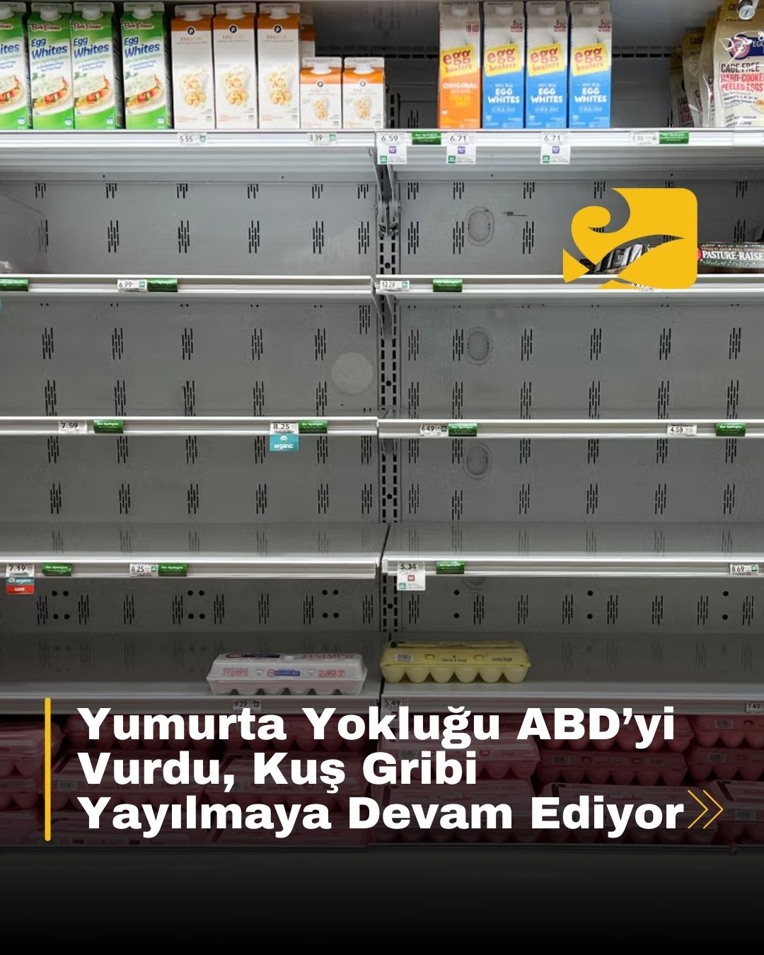ABD, Kuş Gribi nedeniyle 30 milyon tavuğun itlaf edilmesiyle ciddi bir yumurta krizine sürüklendi