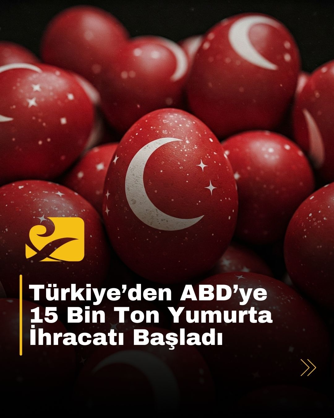 Türkiye, ABD’ye 15 bin ton yumurta ihraç ediyor. Bu ihracat, yumurta krizini hafifletmeyi hedefliyor