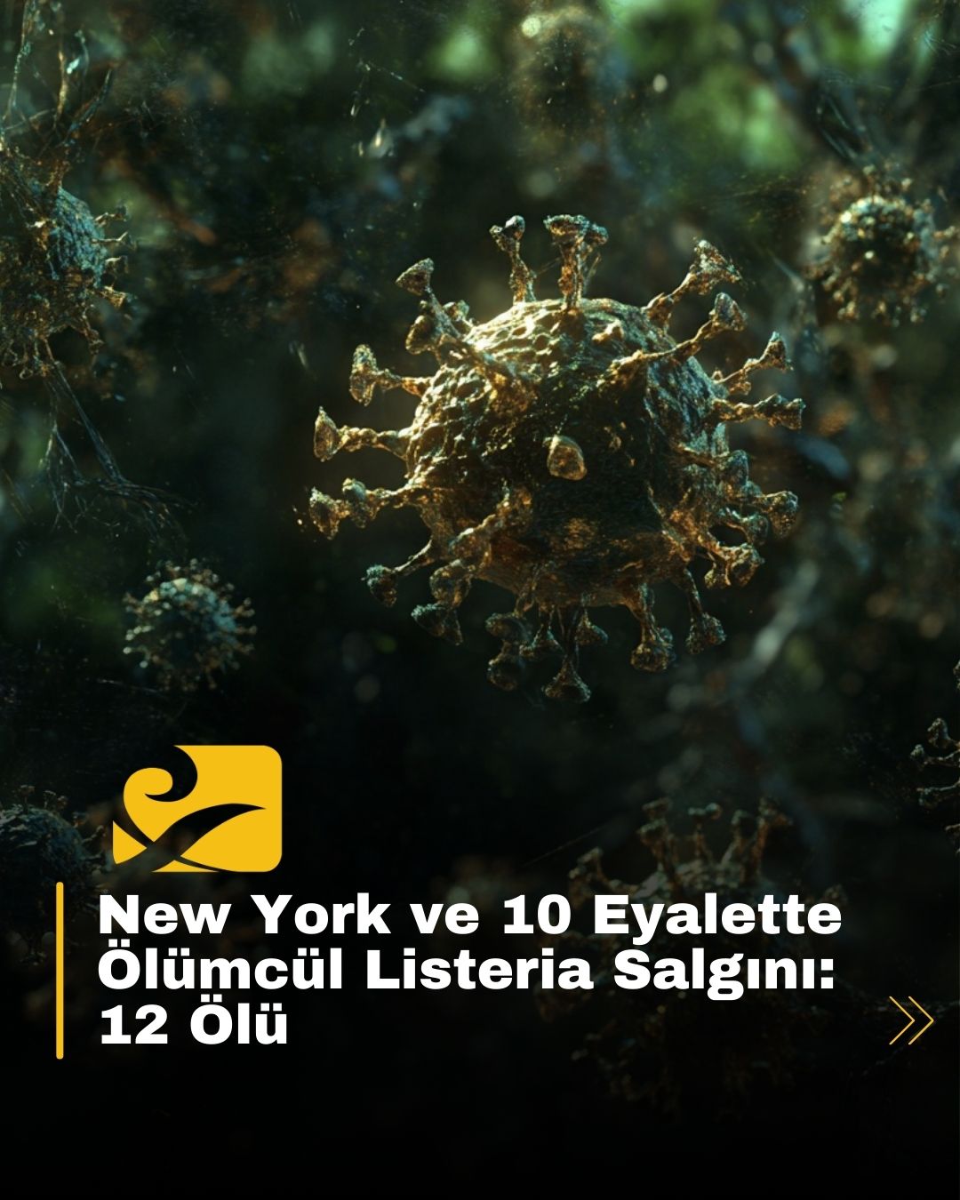 ABD’de Listeria salgını nedeniyle 12 kişi öldü, CDC ve FDA acil uyarı yayınladı!