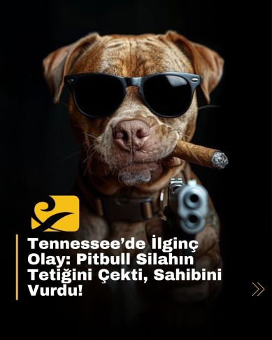 Tennessee’de pitbull cinsi bir köpek yanlışlıkla silah ateşleyerek sahibini vurdu