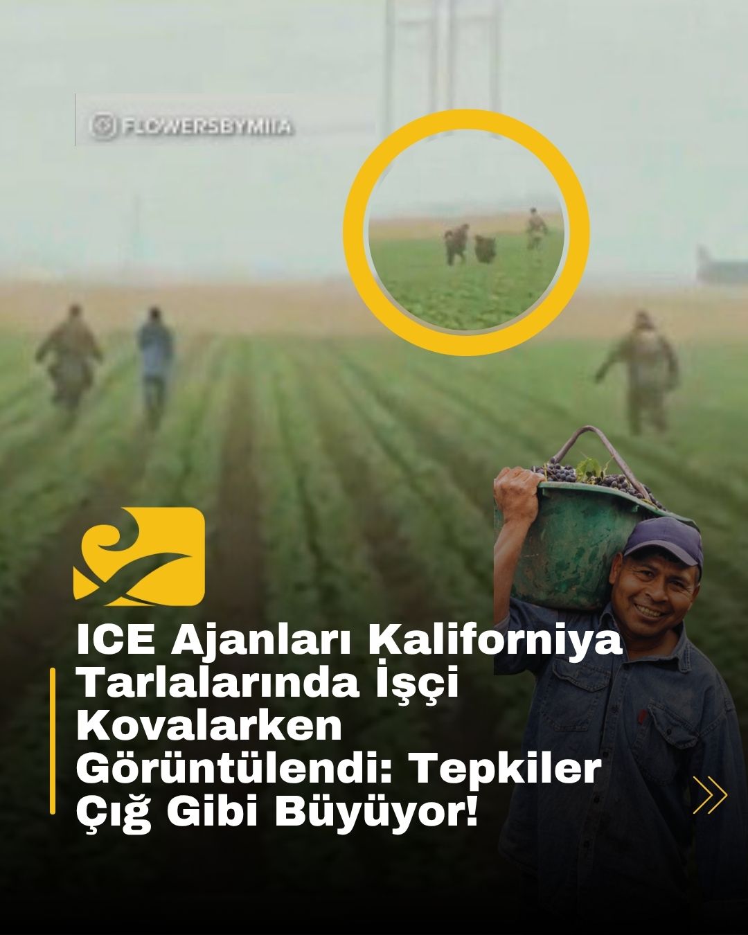 Kaliforniya’nın Oxnard kentinde ICE ajanları, tarlalarda göçmen işçileri kovalarken görüntülendi