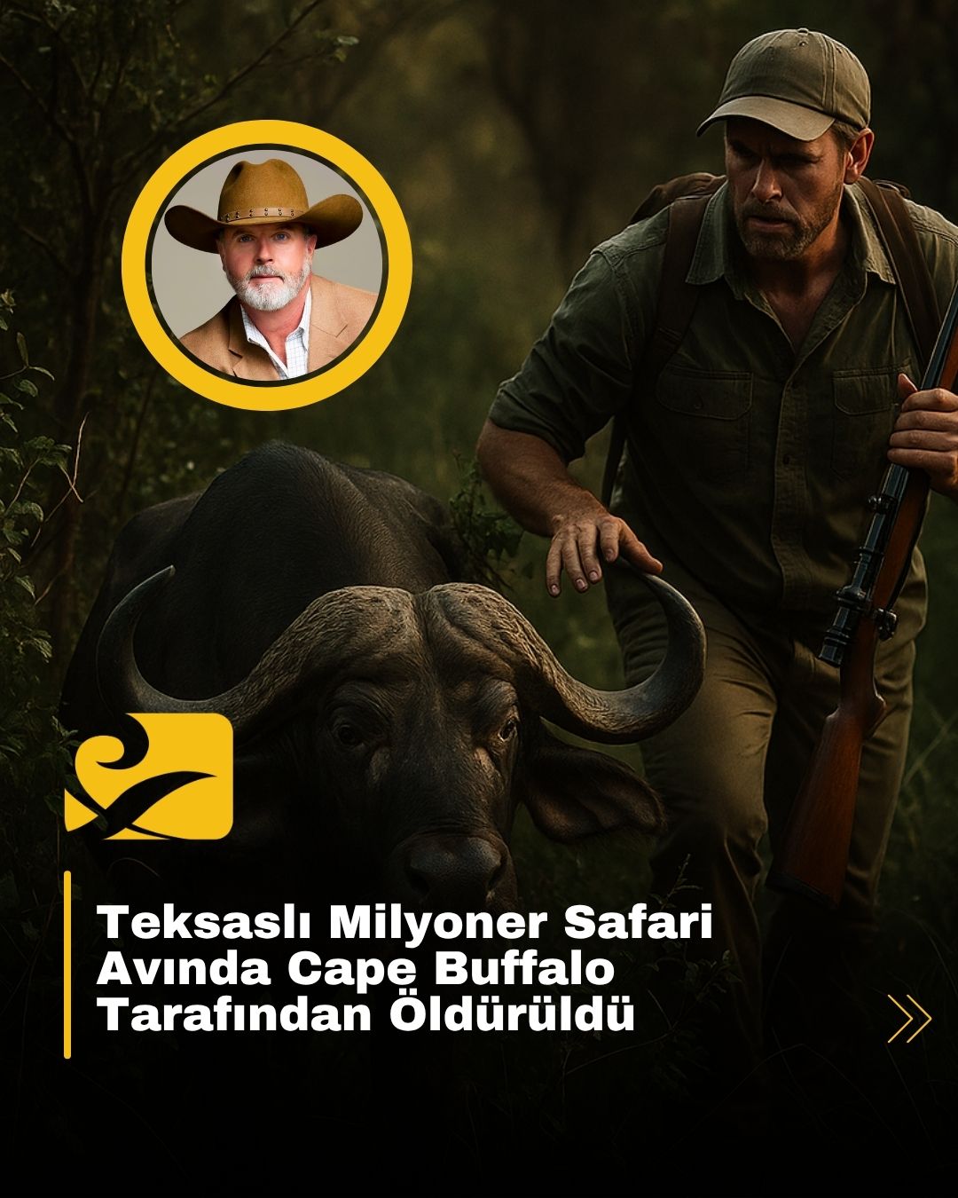 cape-buffalo-safari-kazasi Güney Afrika'daki safari sırasında Cape buffalo saldırısına uğrayan Amerikalı avcıyı sembolize eden sahne